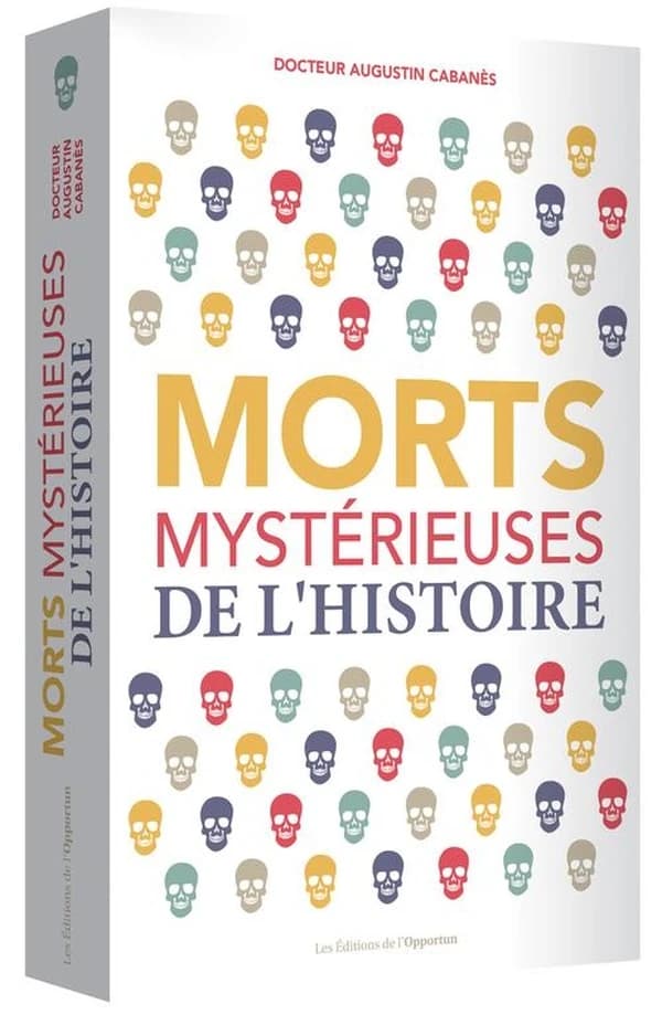 Morts mystérieuses de l'histoire : rois, reines et princes français, de Charlemagne à Louis XIII