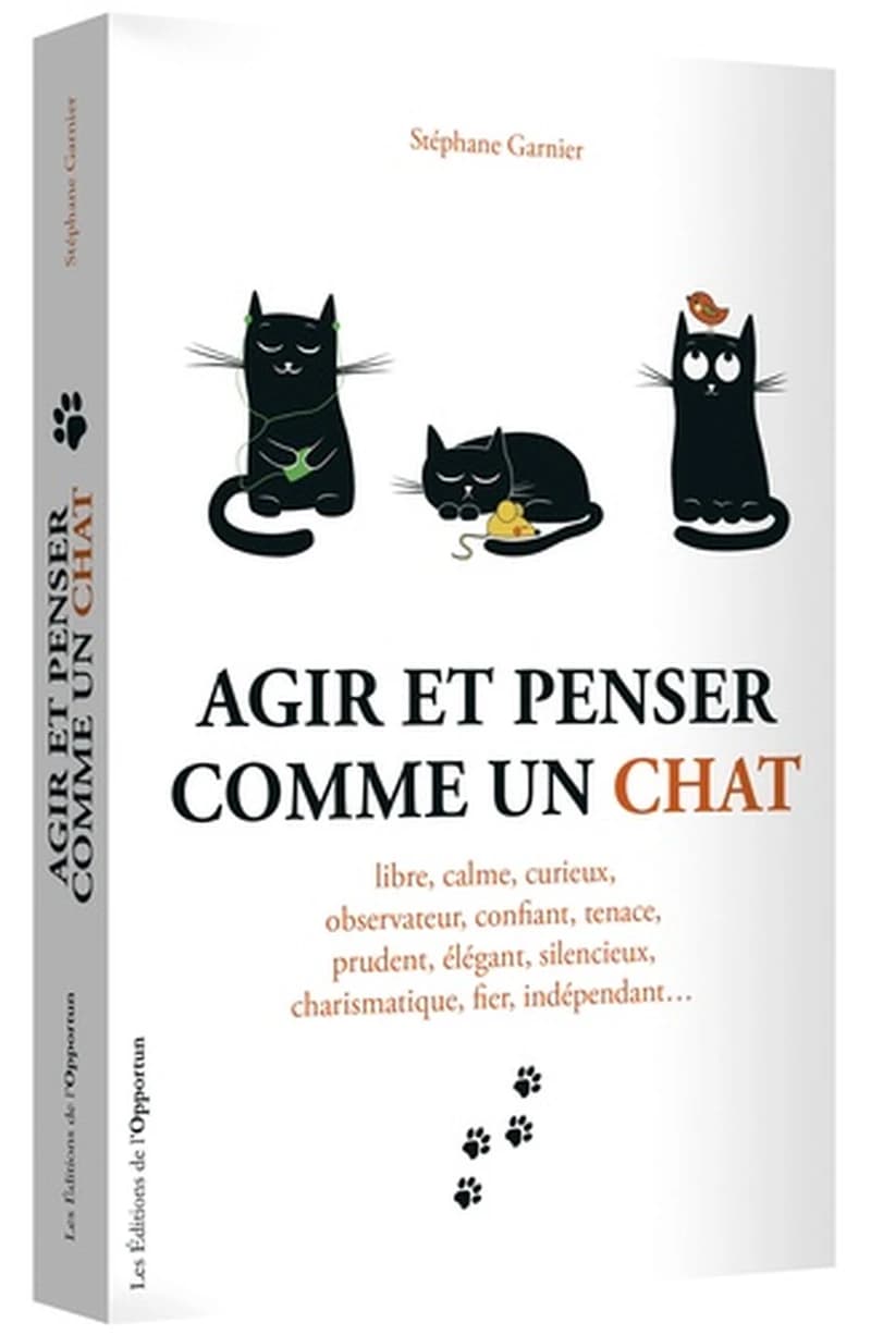 Agir et penser comme un chat : libre, calme, curieux, observateur, confiant...