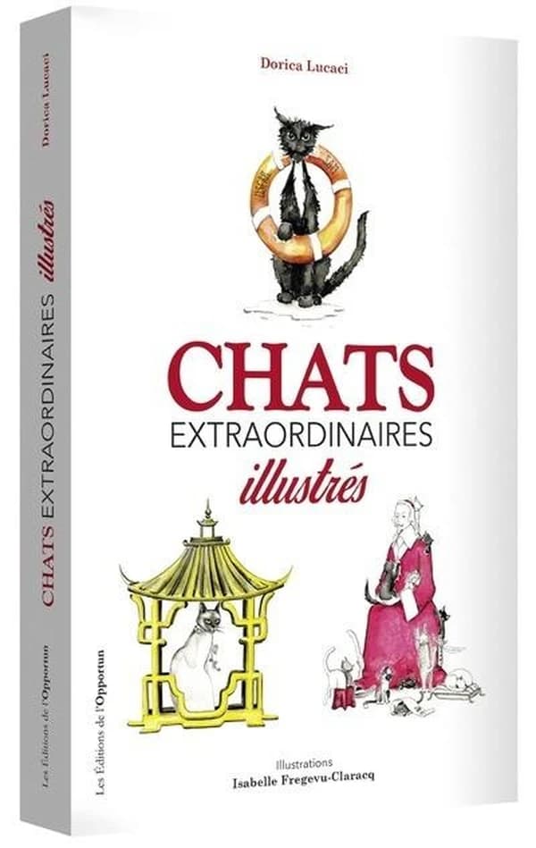 Chats extraordinaires : illustrés