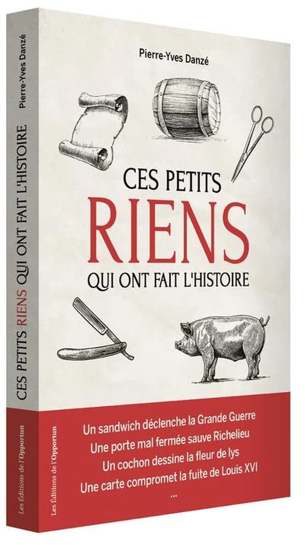 Ces petits riens qui ont fait l'histoire de France : hasards, coïncidences et malchances, de Jules César à Charles de Gaulle