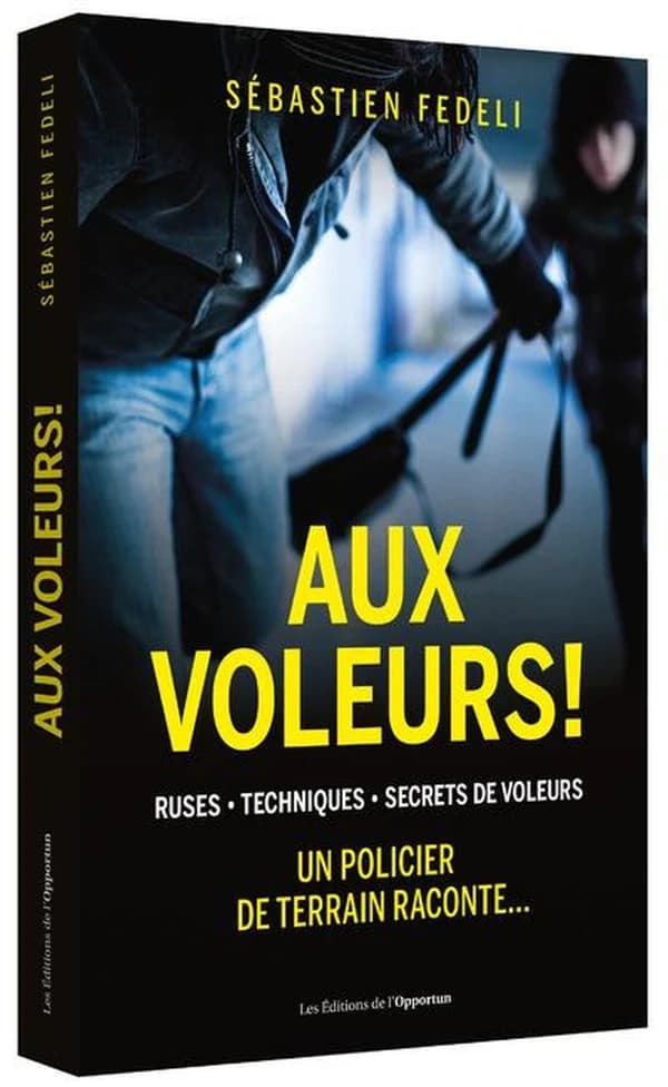 Aux voleurs ! : ruses, techniques, secrets de voleurs : un policier de terrain raconte