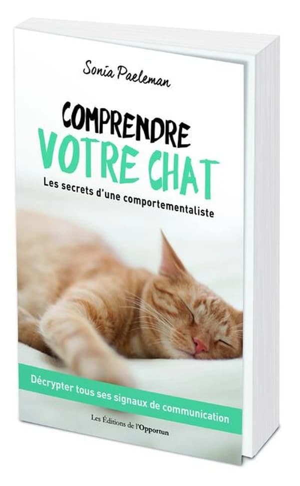 Comprendre votre chat : les secrets d'une comportementaliste
