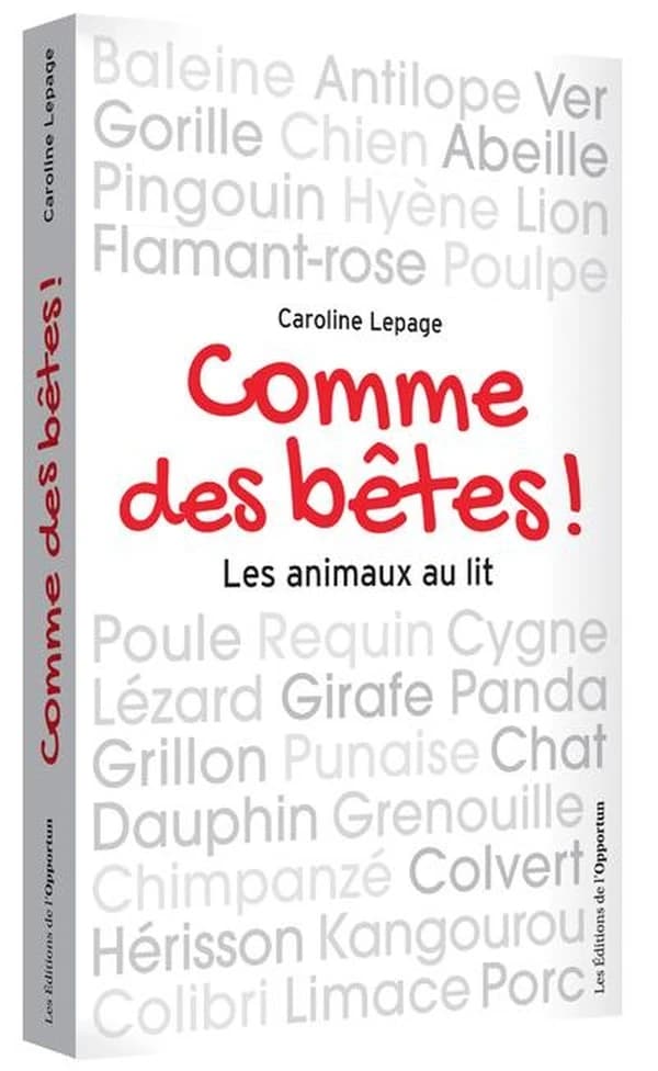 Comme des bêtes : les animaux au lit