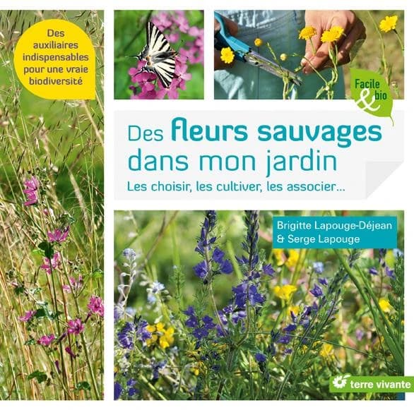 Des fleurs sauvages dans mon jardin ! : les choisir, les cultiver, les associer