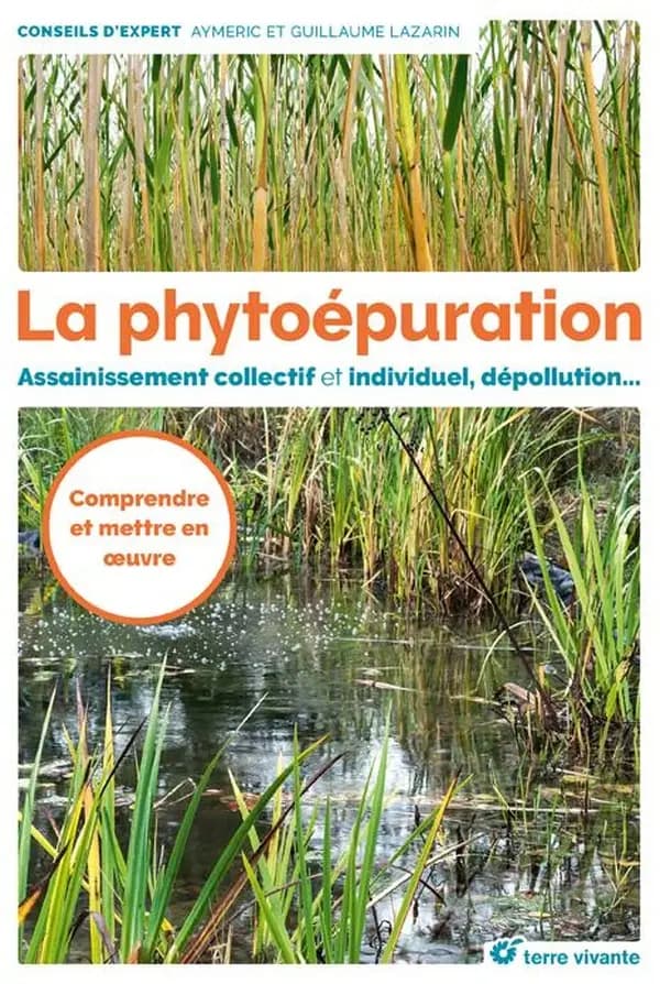 La phytoépuration : assainissement collectif et individuel, dépollution