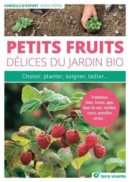 Petits fruits, délices du jardin bio : choisir, planter, soigner, tailler : framboise, kiwis, fraises, gojis, baies de mai, myrtilles, cassis, groseilles, sureau