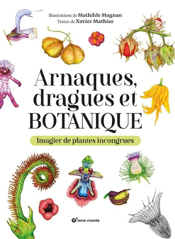 Arnaques, dragues et botanique : imagier de plantes incongrues