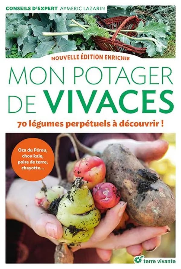 Mon potager de vivaces : 70 légumes perpétuels à découvrir ! (Nouvelle éd. enrichie) Aymeric Lazarin