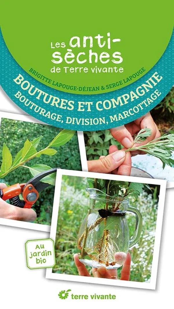 Boutures et compagnie : bouturage, division, marcottage