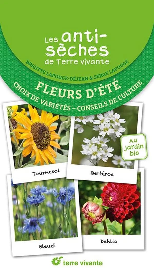Fleurs d'été : Choix de variétés, conseils de culture