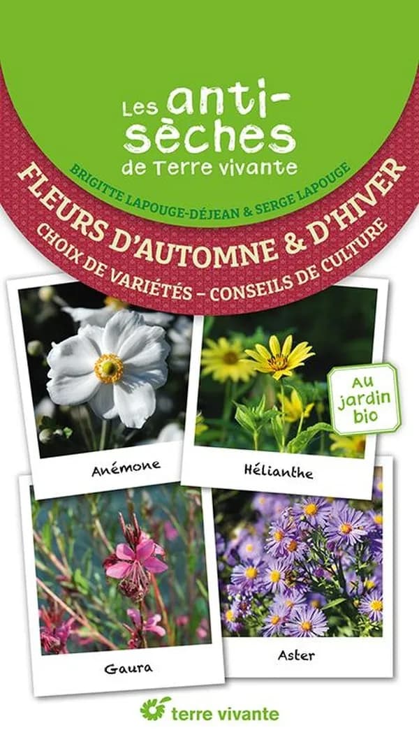 Fleurs d'automne & d'hiver : choix de variétés, conseils de culture