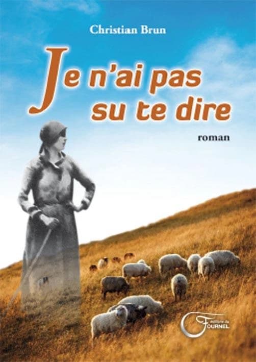 Je n'ai pas su te dire : roman
