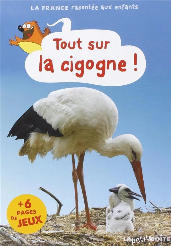 Tout sur la cigogne !