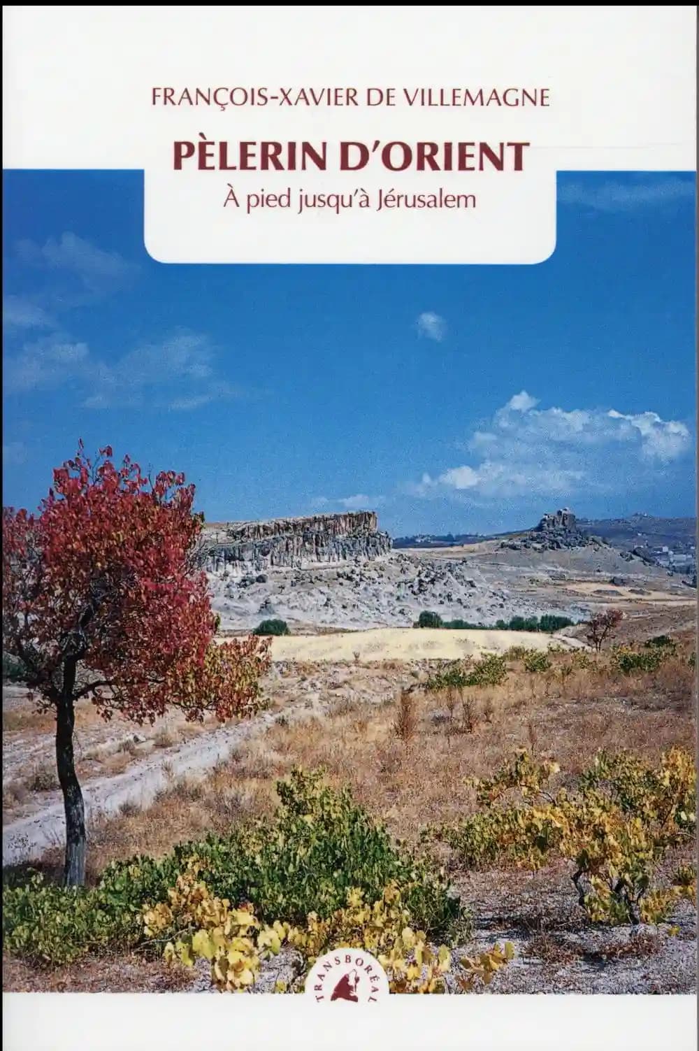 Pèlerin d'Orient : à pied jusqu'à Jérusalem
