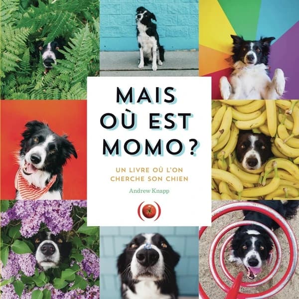 Mais où est Momo ? : un livre où l'on cherche son chien