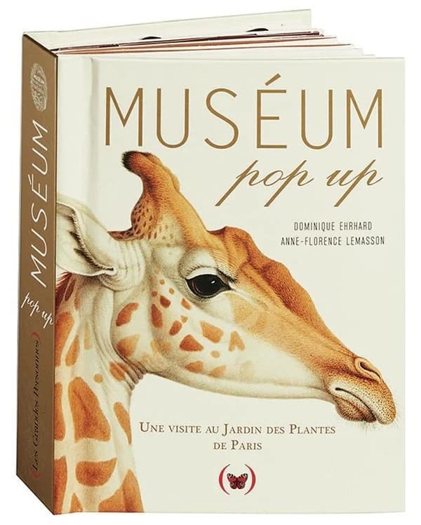 Muséum Pop up