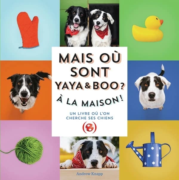 Mais où sont Yaya et Boo ? : à la maison !, un livre où l'on cherche ses chiens