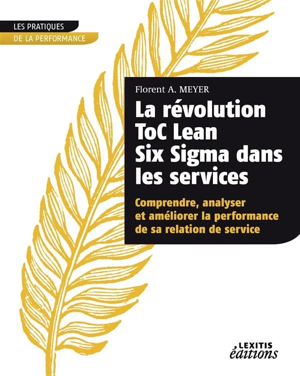 La révolution Toc Lean Six sigma dans les services : comprendre, analyser et améliorer la performance de sa relation de service