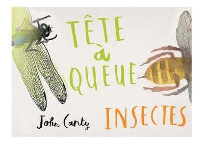 Tête à queue : insectes