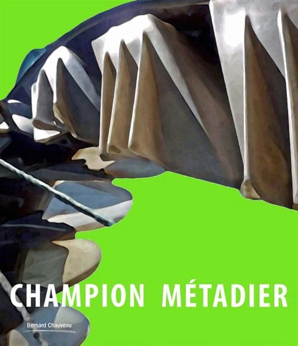 Champion Métadier : [exposition, Gravelines, Musée du dessin et de l'estampe originale, 16 mai-20 septembre 2015]