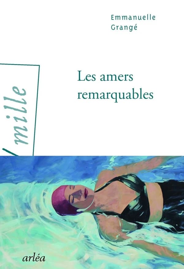 Les amers remarquables : roman