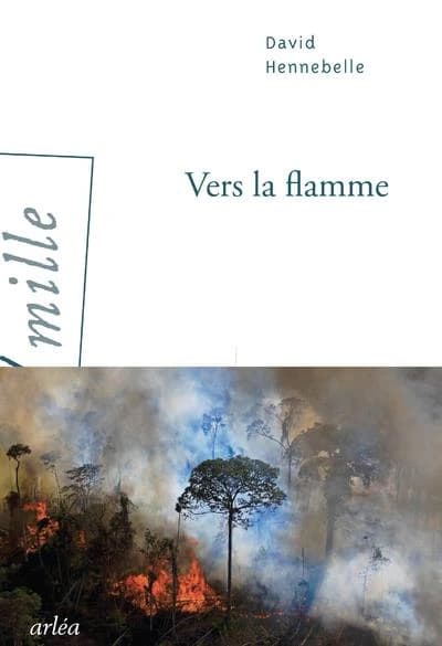 Vers la flamme : roman