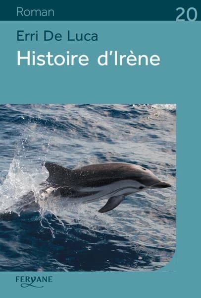 Histoire d'Irène (Éd. en gros caractères) Erri de Luca ; traduit de l'italien par Danièle Valin