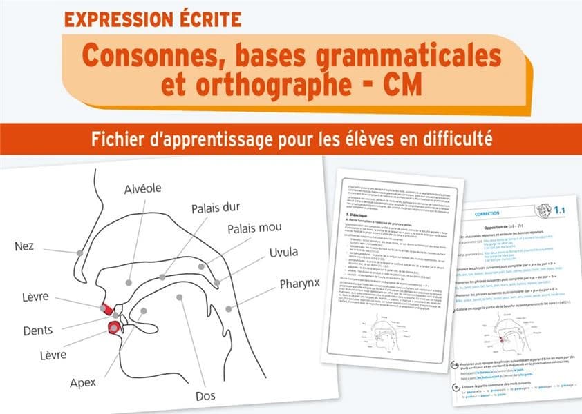 Consonnes, bases grammaticales et orthographe ; CM1 et CM2