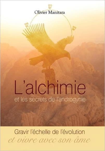 L'alchimie et les secrets de l'androgynie : gravir l'échelle de l'évolution et vivre avec son âme