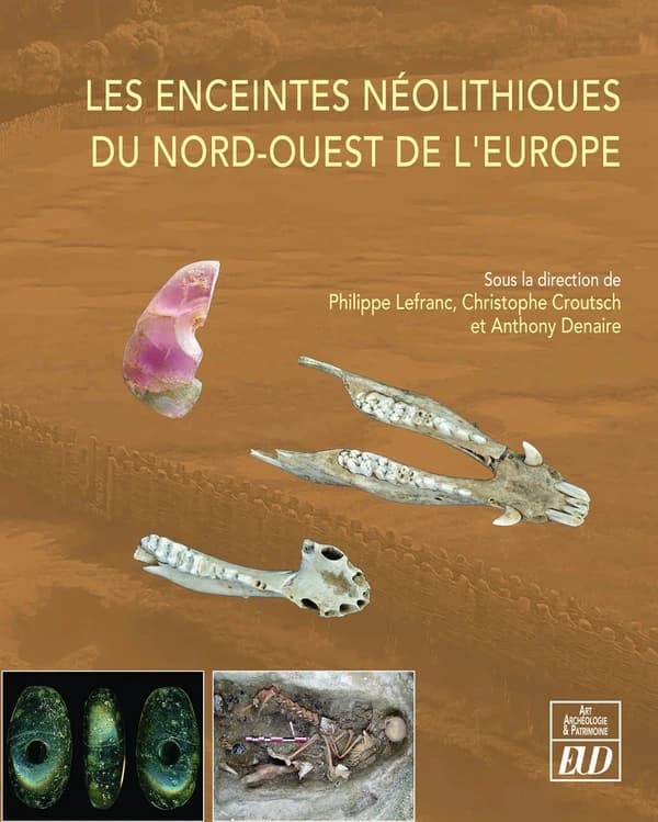Les enceintes néolithiques du Nord-Ouest de l'Europe