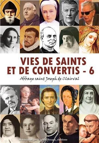 Vies de saints et de convertis. Tome 6