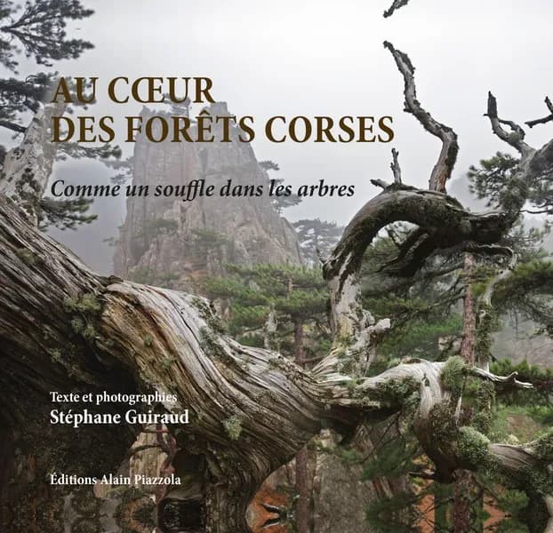 Au coeur des forêts corses : comme un souffle dans les arbres