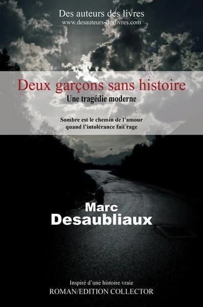 Deux garçons sans histoires : roman