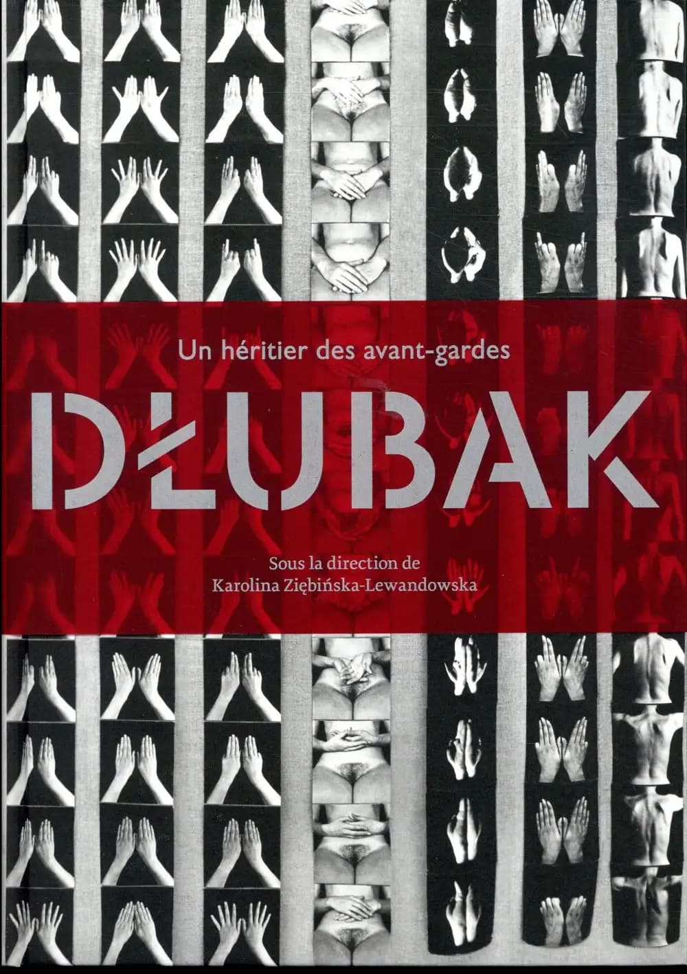 Dłubak : un héritier des avant-gardes