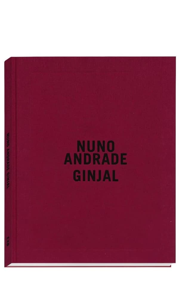 Nuno Andrade : Ginjal