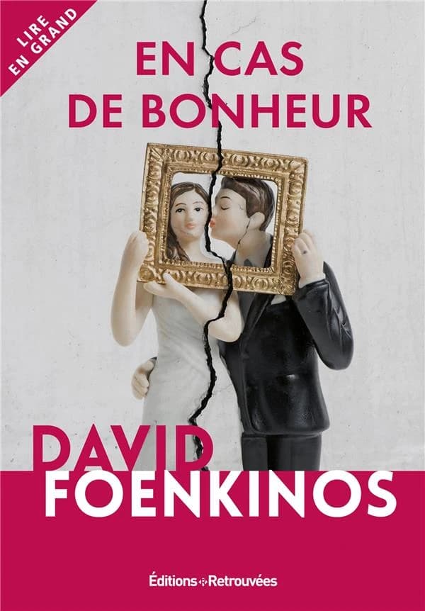En cas de bonheur : roman ([Éd. en gros caractères]) David Foenkinos