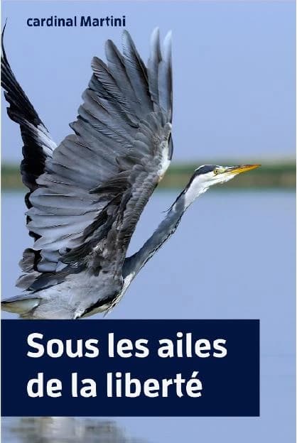 Les ailes de la liberté : les exercices de saint Ignace avec la "Lettre aux Romains"