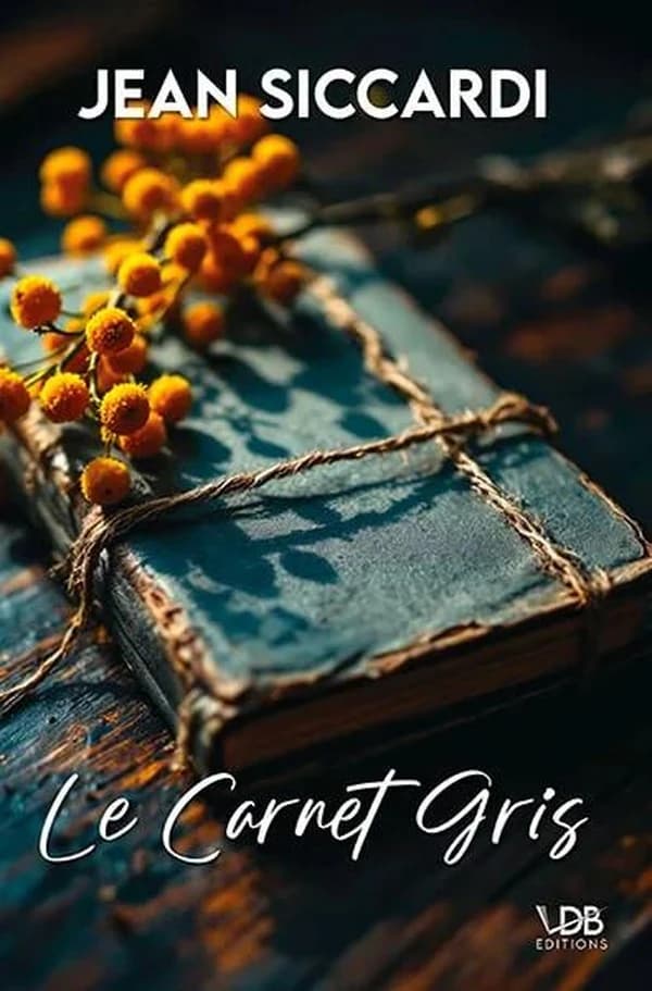 Le carnet gris ([Éd. en gros caractères]) Jean Siccardi