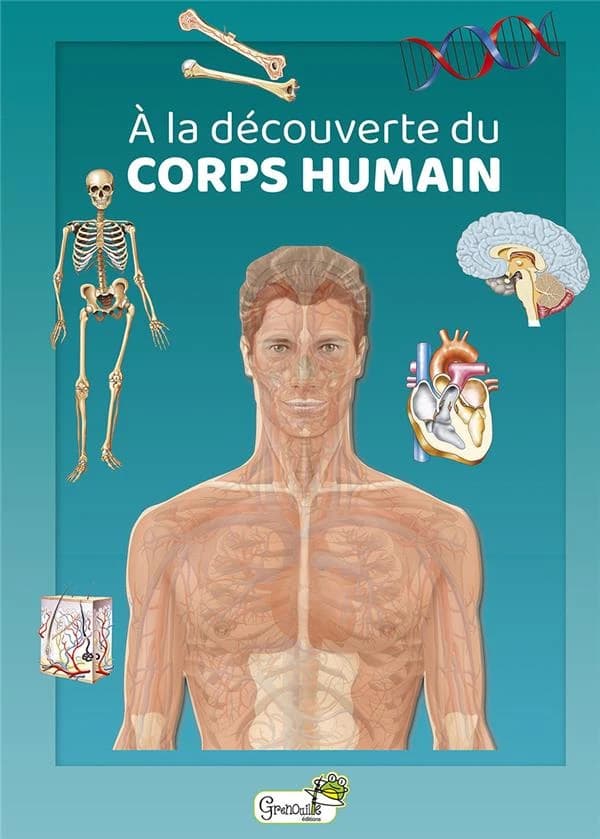 à la découverte du corps humain