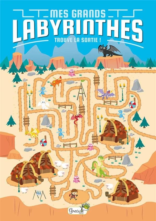 Mes grands labyrinthes