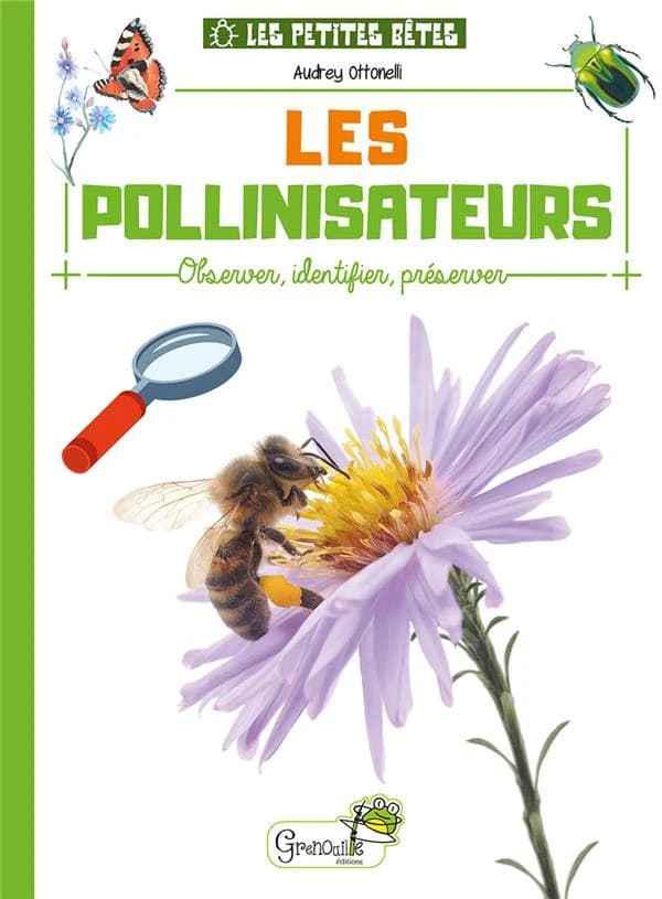 Les pollinisateurs : observer, identifier, préserver