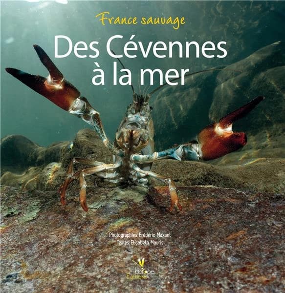 Des Cévennes à la mer