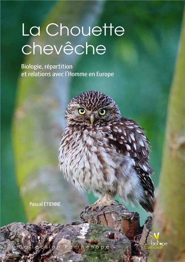 La chouette chevêche : biologie, répartition et relations avec l'homme en Europe
