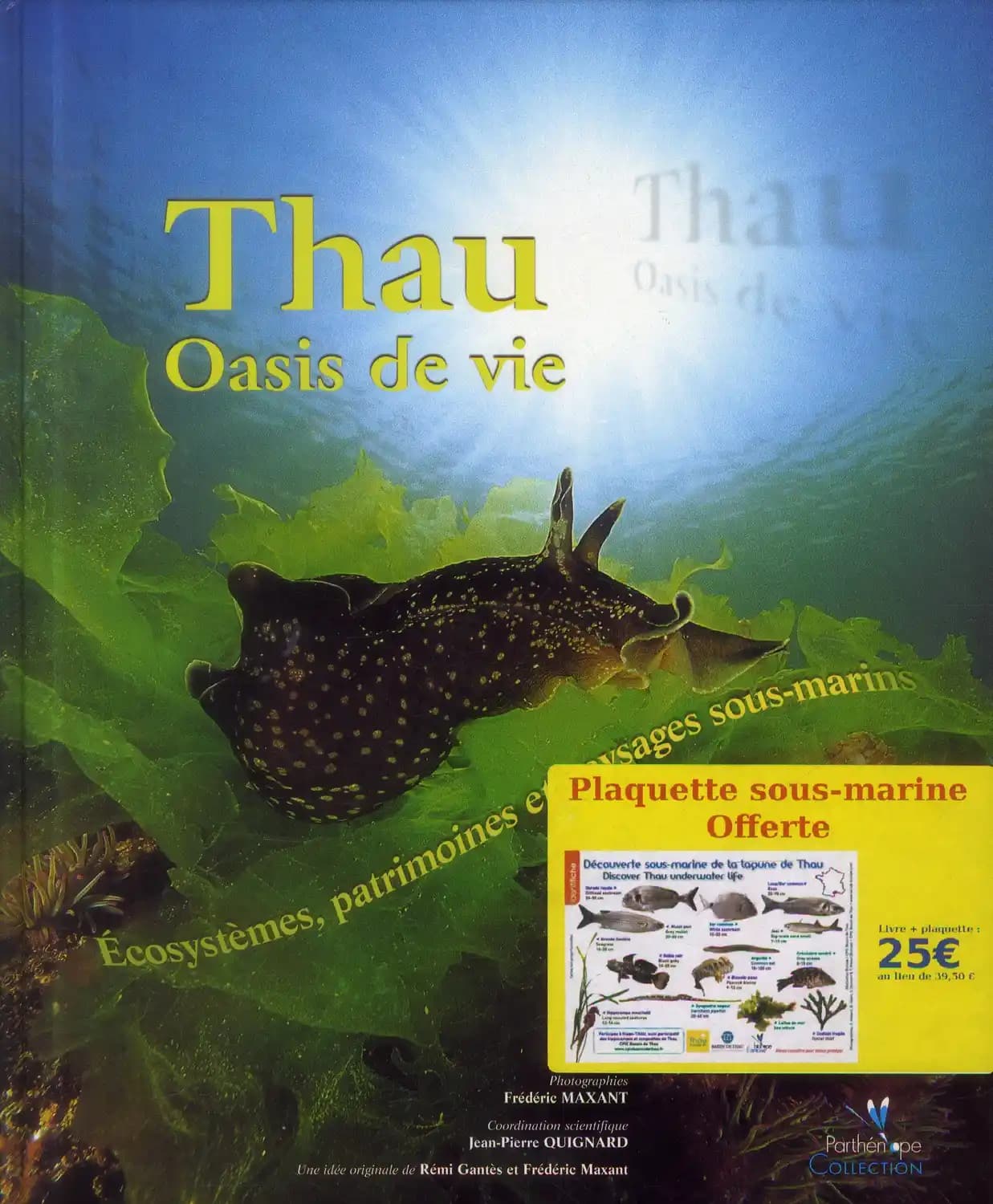 à la découverte sous-marine de Thau
