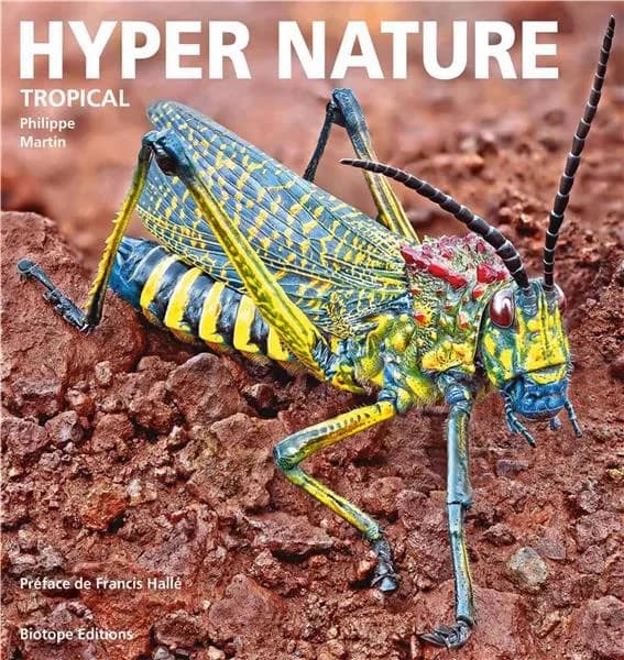 Hyper nature tropical