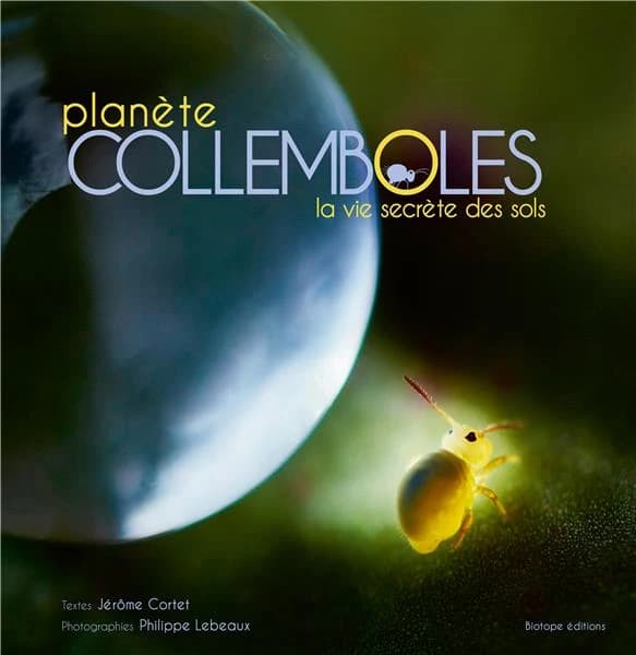Planètes collemboles : la vie secrète des sols