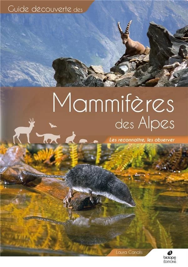 Mammifères des Alpes : les reconnaître, les observer