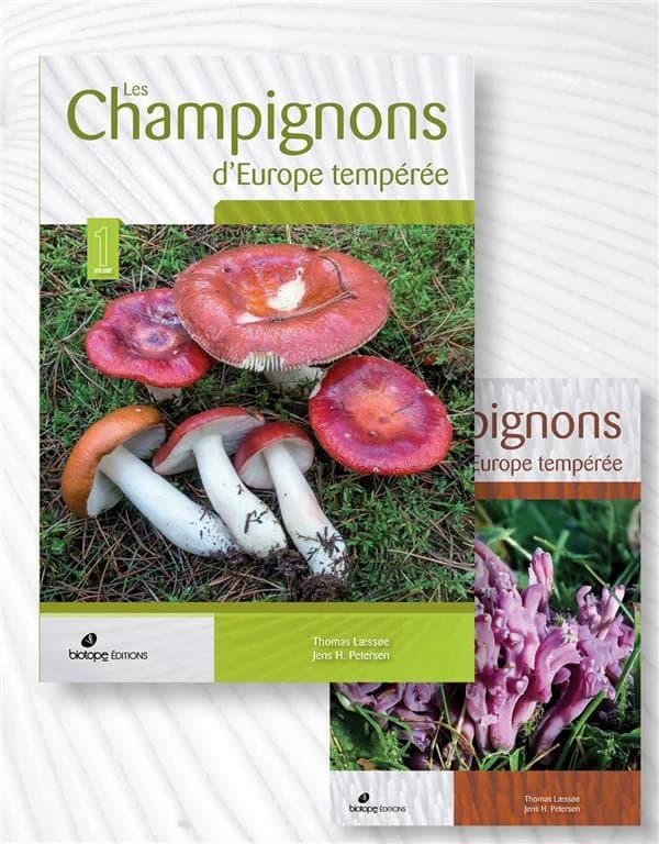 Les champignons d'Europe tempérée n°2