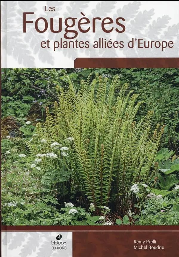 Les fougères et plantes alliées d'Europe : avec répartitions détaillées pour la France