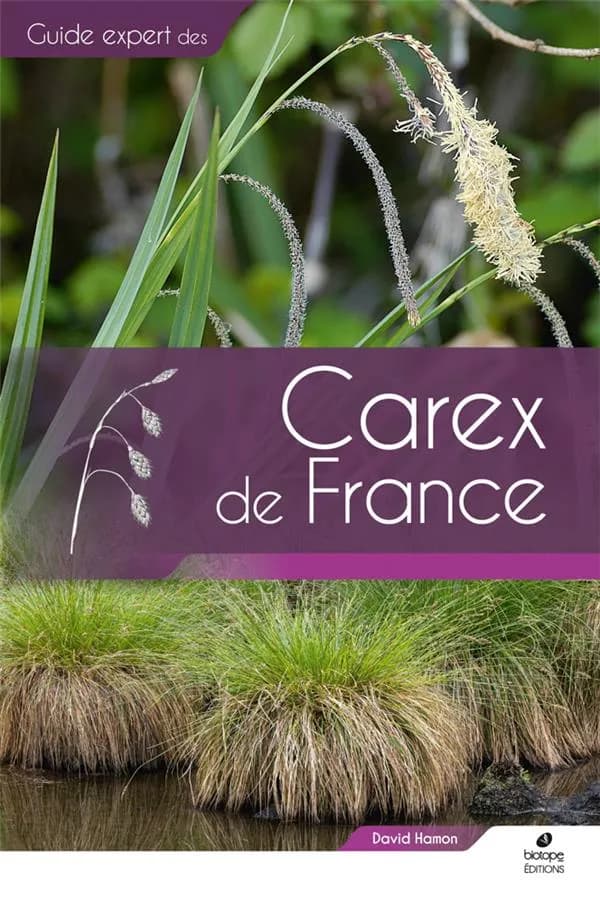 Carex de france : Guide expert des Carex de France